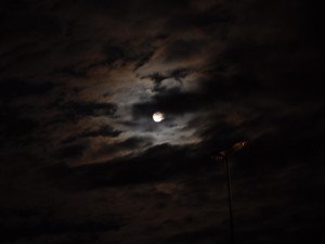 Saturday
featured a lunar eclipse, but it was too cloudy to snap. Later the
clouds cleared a bit, but by then the eclipse was
over.