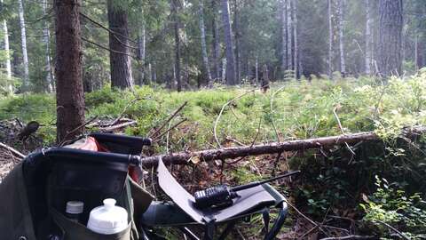 A hunting spot in a shallow pit in the ground